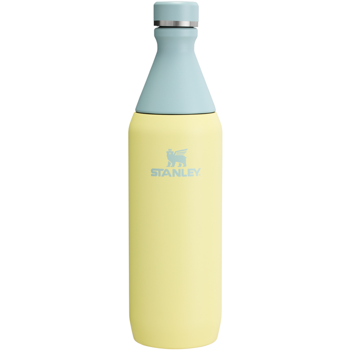 Stanley Leak Proof 20 OZ All Day Slim Bottle with removable collar in Pomelo