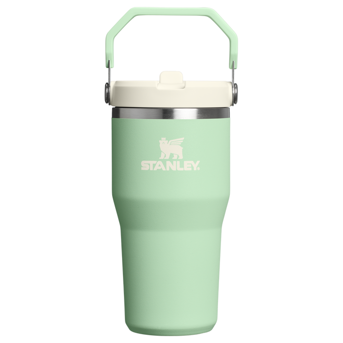 Stanley 20 OZ IceFlow Stainless Steel Water Bottle In PIstachio Green with Flip Straw