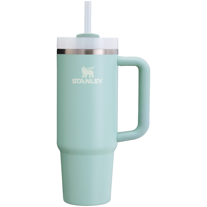 Stanley Quencher H2.O FlowState Tumbler 30 OZ in Seafoam Green