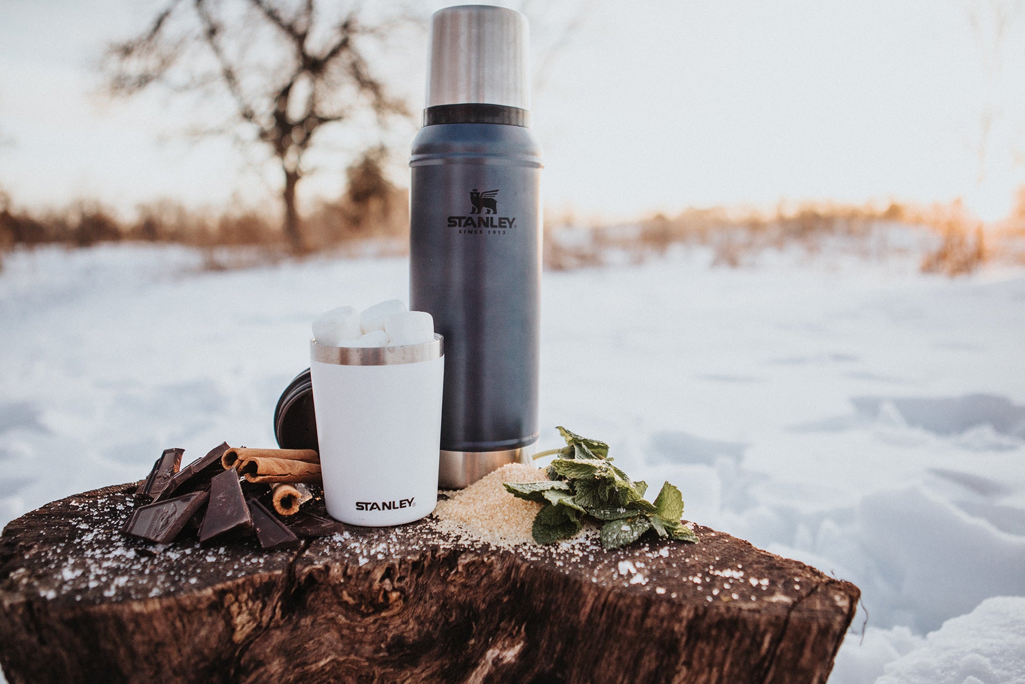 Stanley 1-qt Legendary Bottle and 8-oz Shortstack Travel Mug on a tree stump in a snowy field.