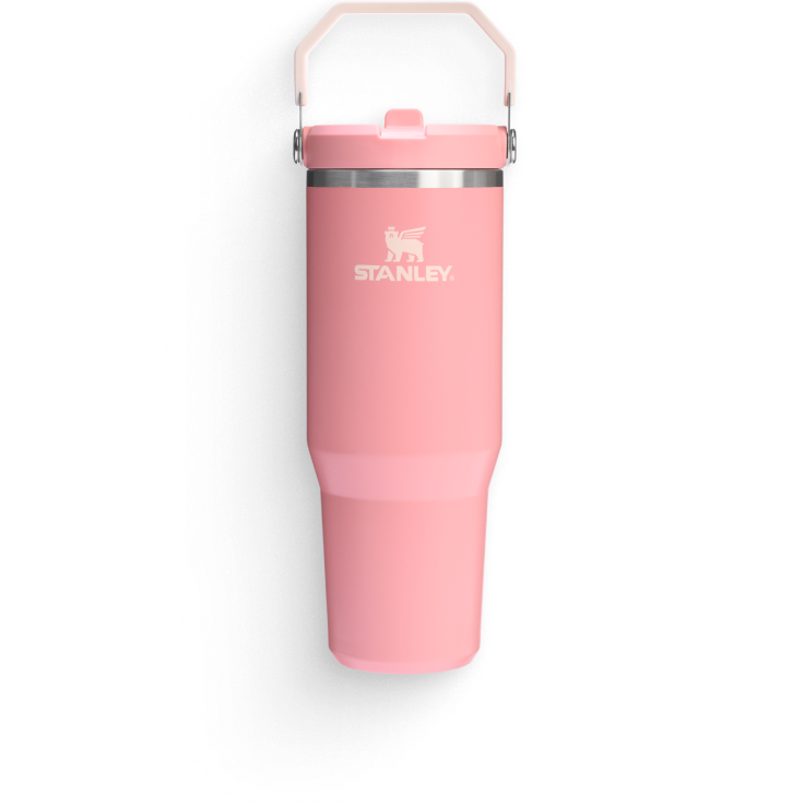 Stanley Summer IceFlow Tumbler