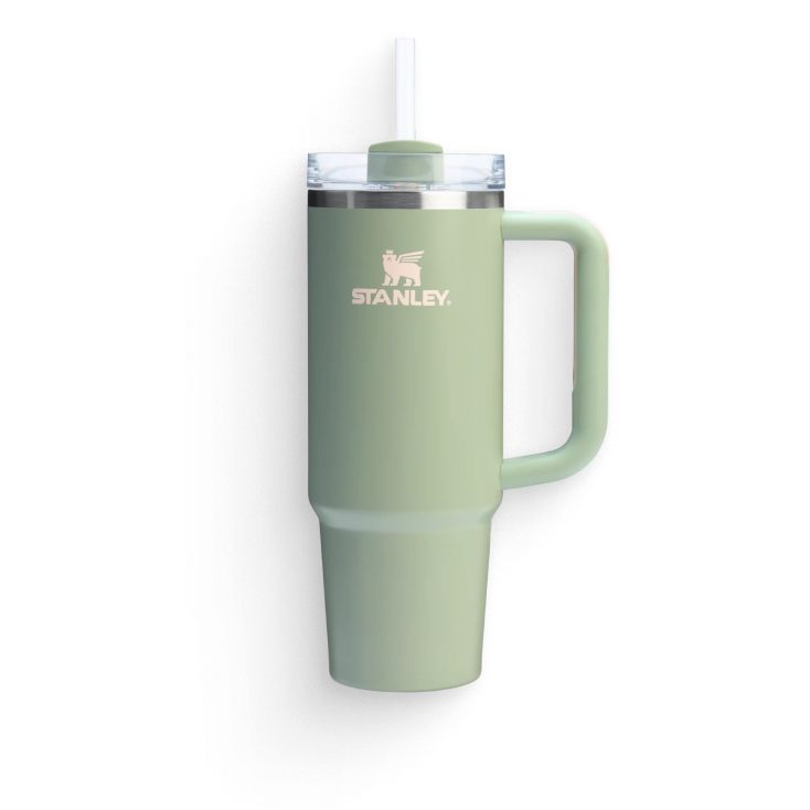 Stanley Quencher With Straw in Lichen Green
