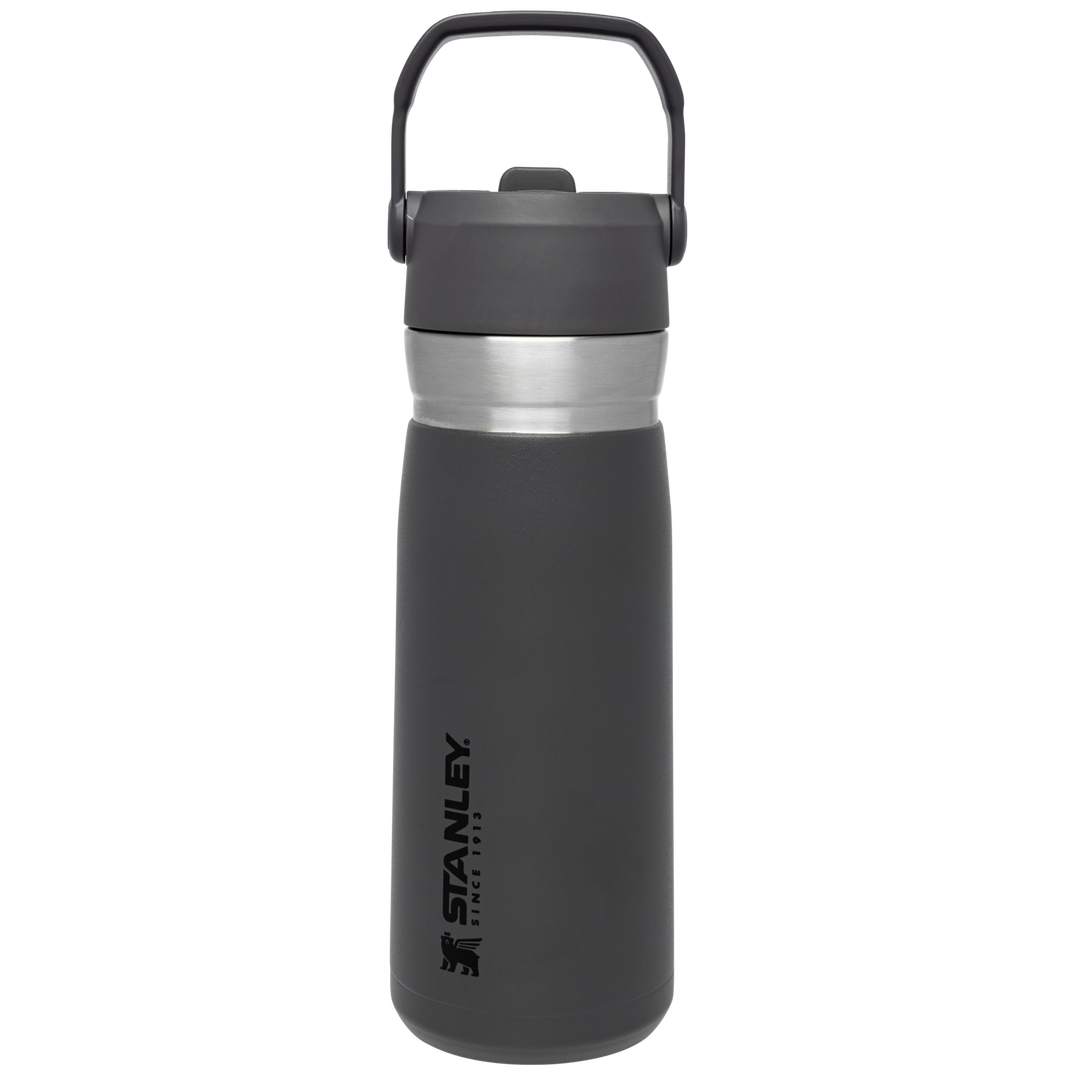 STANLEY Quick Flip Go Insulated 24 oz. Aloe Stainless Steel Water Bottle 