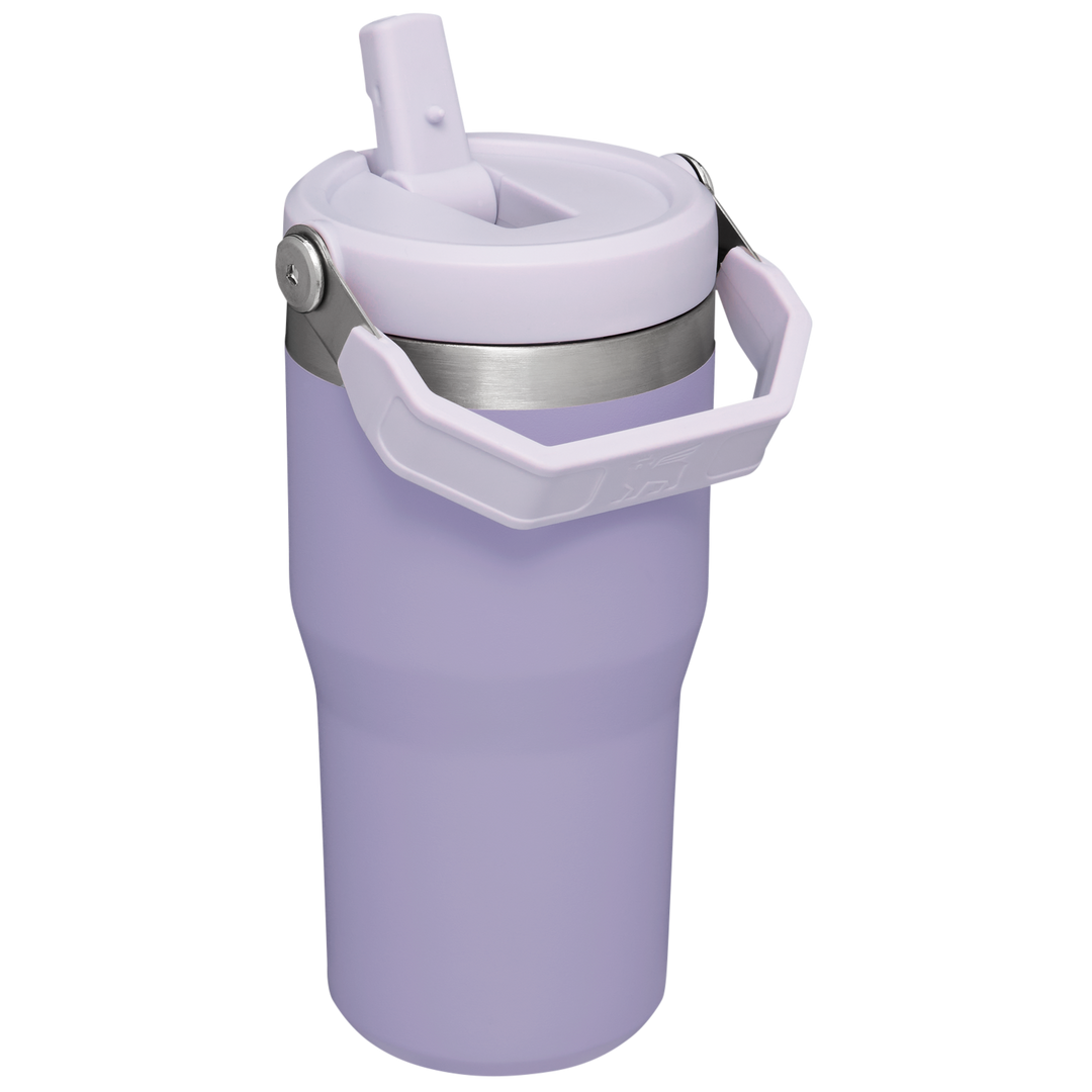 https://www.stanley1913.com/cdn/shop/files/B2B_Web_PNG-The-IceFlow-Flip-Straw-Tumbler-20OZ-Lavender-Hero-Back.png?v=1696287020&width=1080