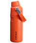 Swatch for Stanley 1913 IceFlow™ Bottle with Fast Flow Lid 16 OZ in Tigerlily Plum | Front View
