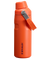 Product swatch for IceFlow™ Bottle with Fast Flow Lid | 16 OZ