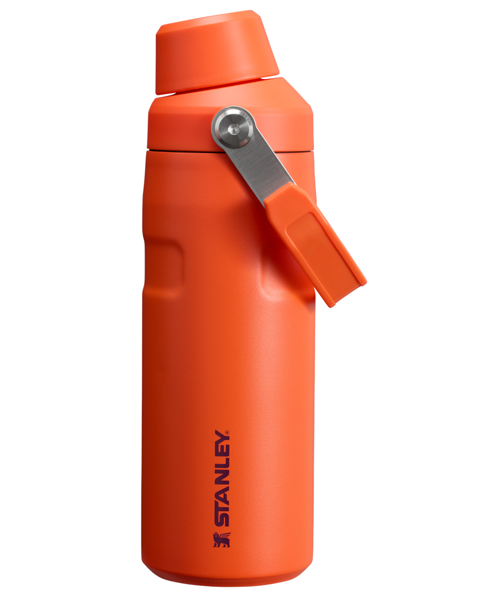 Stanley 1913 IceFlow™ Bottle with Fast Flow Lid 16 OZ in Tigerlily Plum