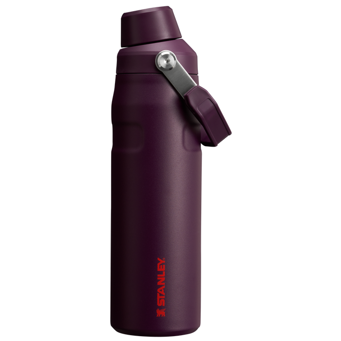 Stanley IceFlow Water Bottle with Fast Flow Lid 24 OZ In Plum Purple