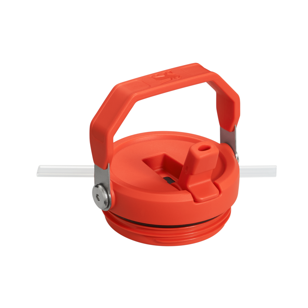 Stanley The IceFlow FlipStraw Tumbler Water Bottle 20 OZ In Plum Purple