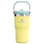 Stanley The IceFlow FlipStraw Tumbler Water Bottle 20OZ In Pomelo Yellow