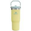 Stanley IceFlow Flip Straw Insulated Tumbler 30OZ in Pomelo Yellow