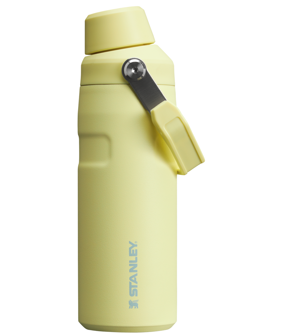 Stanley 1913 IceFlow™ Bottle with Fast Flow Lid 16 OZ in Pomelo