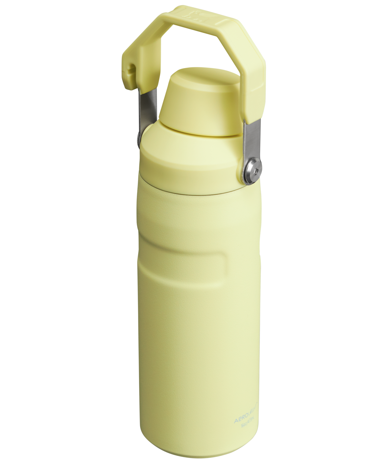 IceFlow™ Bottle with Fast Flow Lid | 16 OZ – Stanley 1913