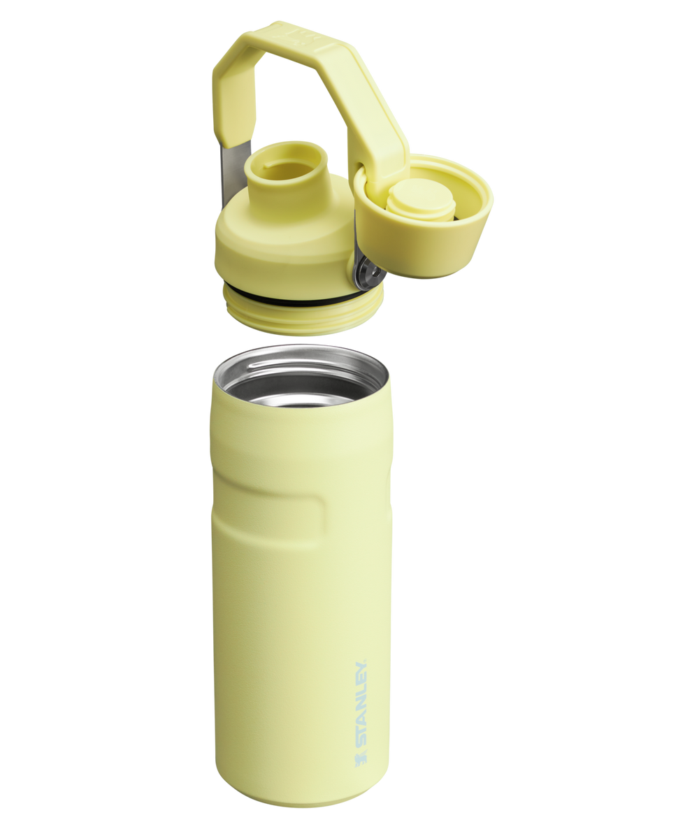 Stanley 1913 IceFlow™ Bottle with Fast Flow Lid 16 OZ in Pomelo