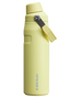 Stanley IceFlow Water Bottle with Fast Flow Lid 24 OZ In Pomelo Yellow