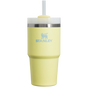 The Quencher H2.0 FlowState™ Tumbler | 20 OZ
