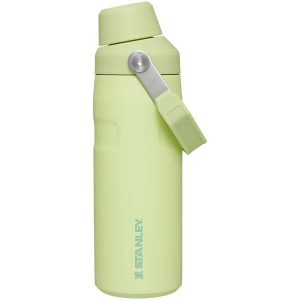 IceFlow™ Bottle with Fast Flow Lid | 16 OZ – Stanley 1913