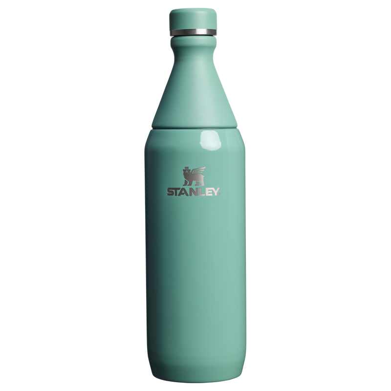 All Day Slim Bottle | 20 OZ – Stanley 1913