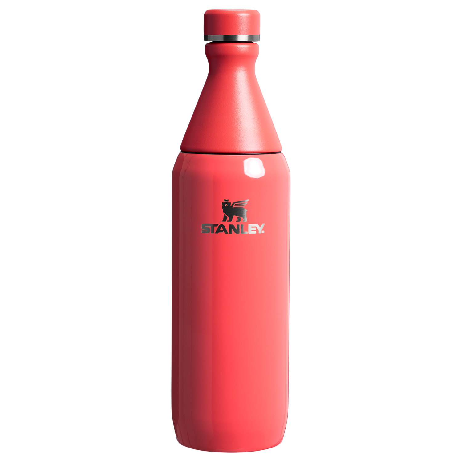 All Day Slim Bottle | 20 OZ – Stanley 1913