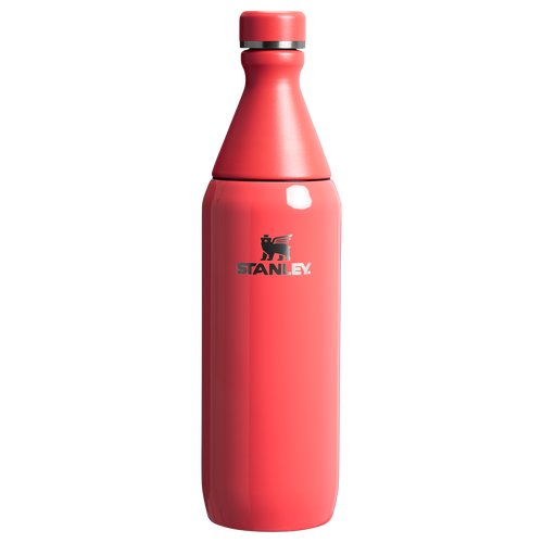 All Day Slim Bottle | 20 OZ – Stanley 1913