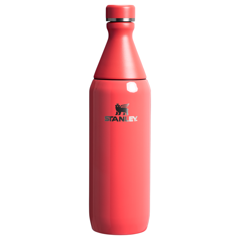 All Day Slim Bottle | 20oz | Stanley 1913 US