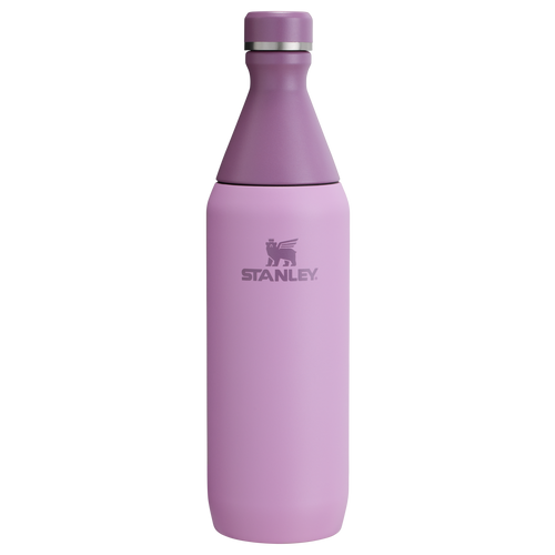 All Day Slim Bottle | 20 OZ – Stanley 1913