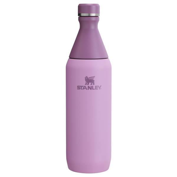 All Day Slim Bottle | 20 OZ – Stanley 1913