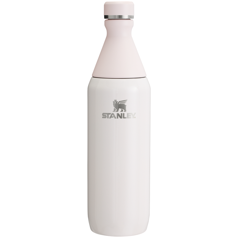 All Day Slim Bottle | 20 OZ – Stanley 1913