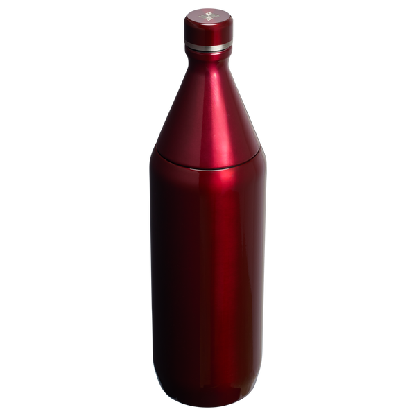 All Day Slim Bottle | 20 OZ – Stanley 1913
