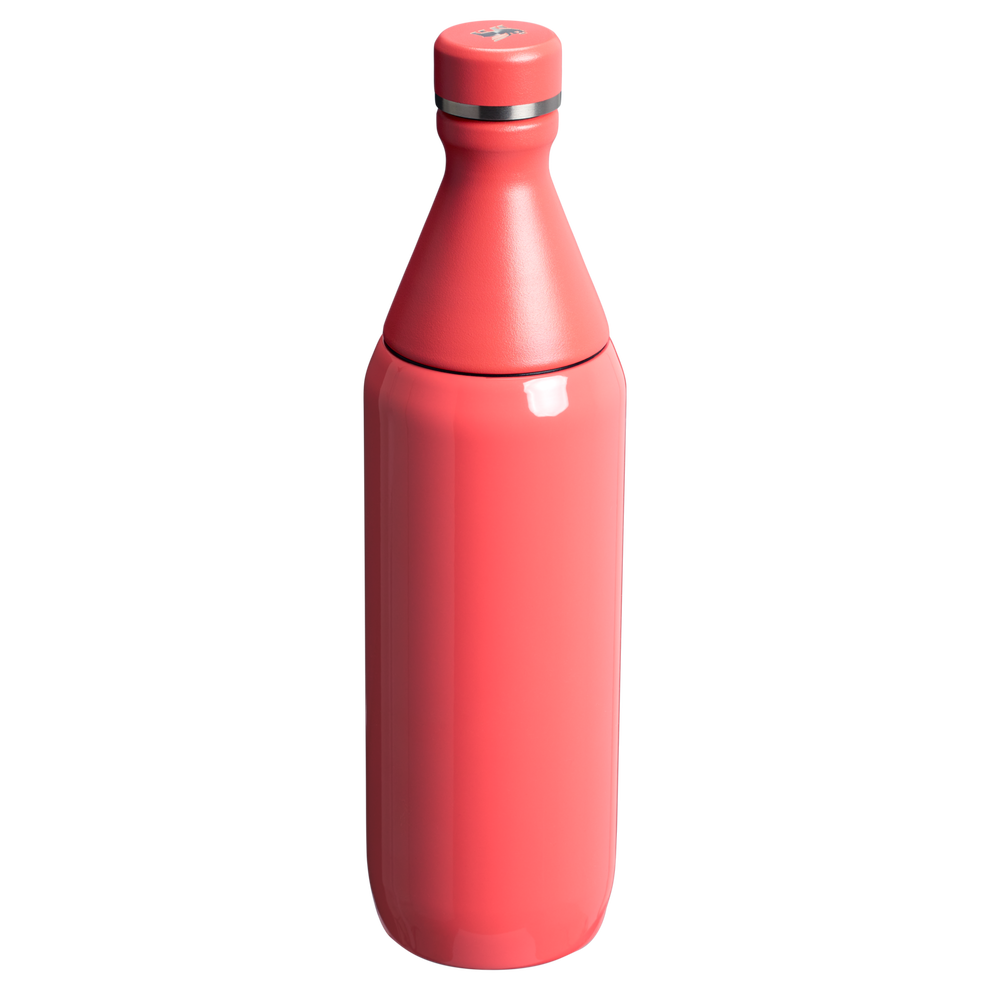 All Day Slim Bottle | 20 OZ – Stanley 1913