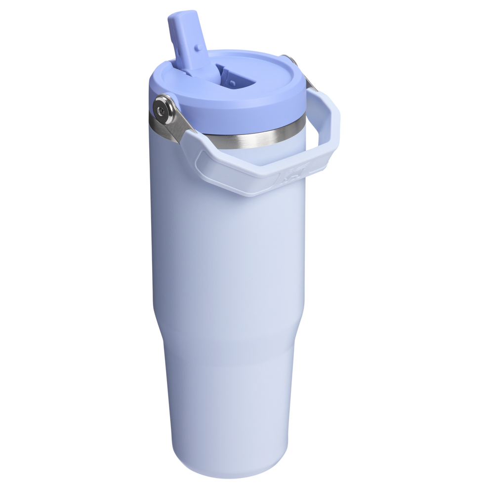 Stanley 30 OZ IceFlow Stainless Steel Water Bottle In Dew Drop Purple n with Flip Straw