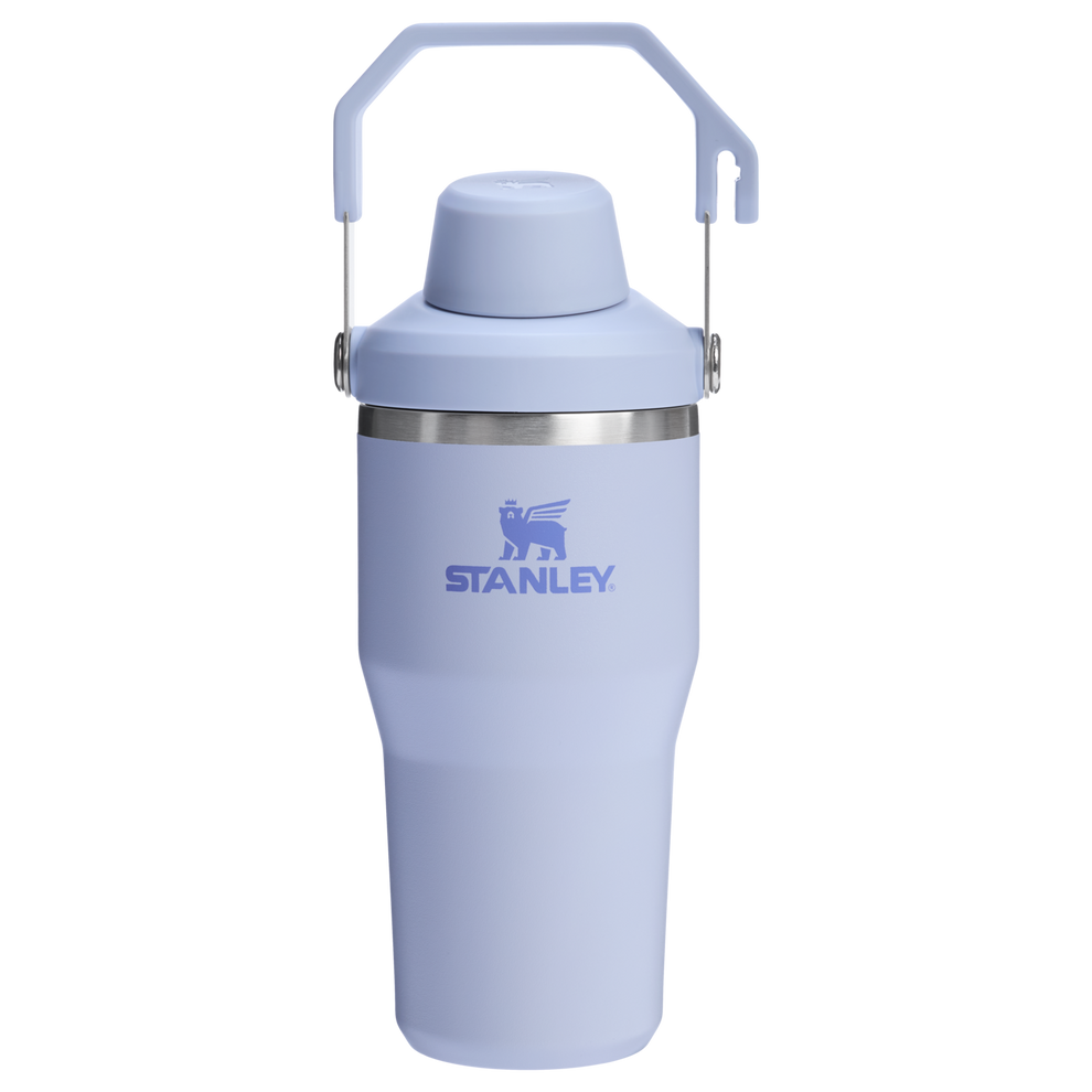 Stanley 20 OZ IceFlow Stainless Steel Water Bottle In Dew Drop Purple n with Fast Flow Lid