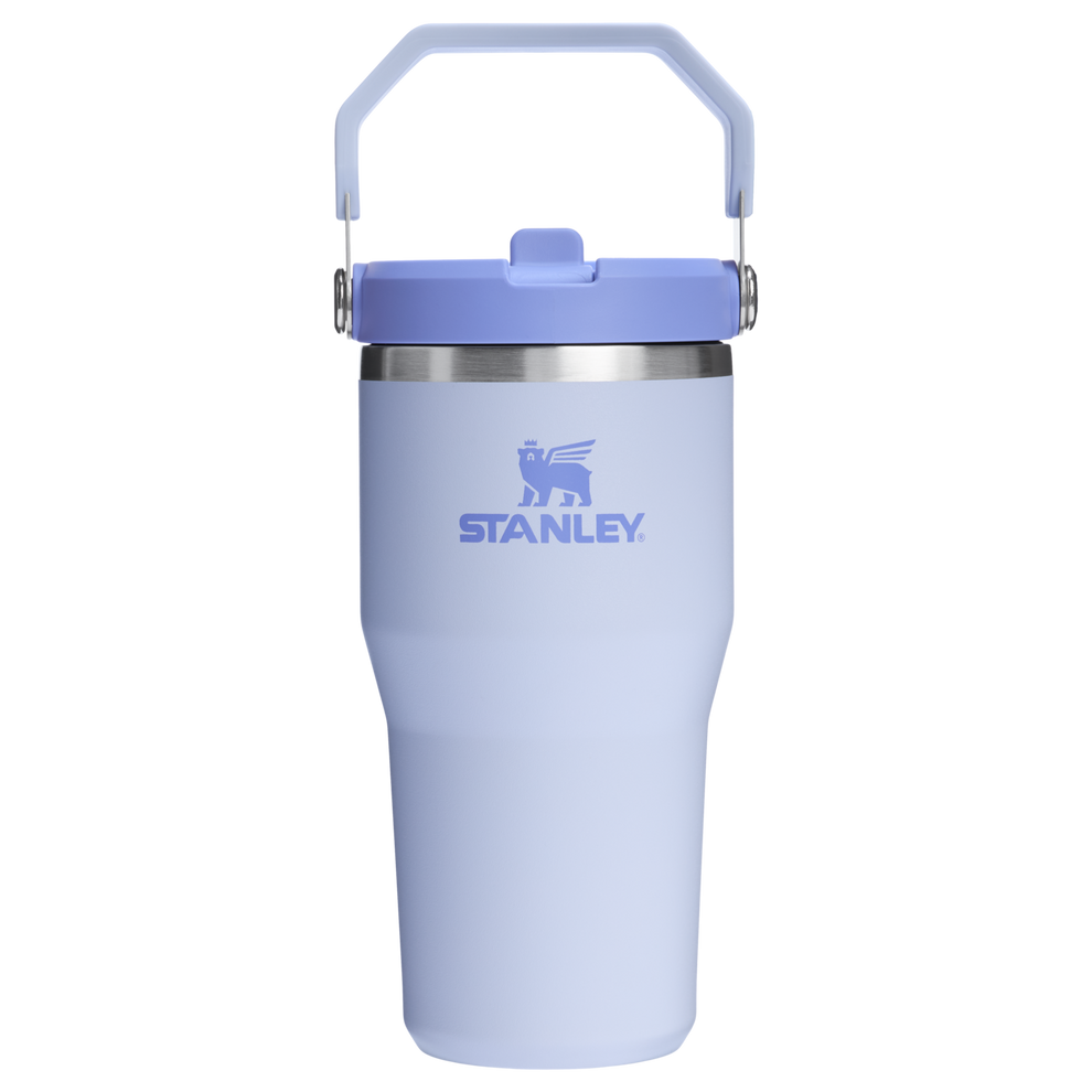 Stanley 20 OZ IceFlow Stainless Steel Water Bottle In Dew Drop Purple n with Flip Straw