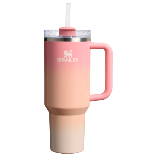 Amazon.com : Stanley All Day Quencher Carry All for 40 oz