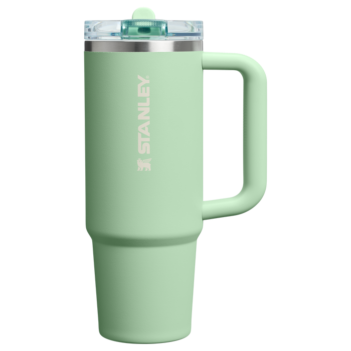 Stanley 30 OZ Quencher ProTour Stainless Steel Tumbler In PIstachio Green with Flip Straw