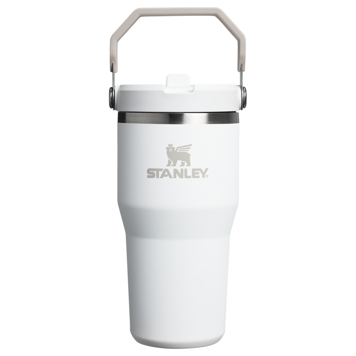 Stanley 20 OZ ProTour Flip Straw Tumbler Cup In Frost White