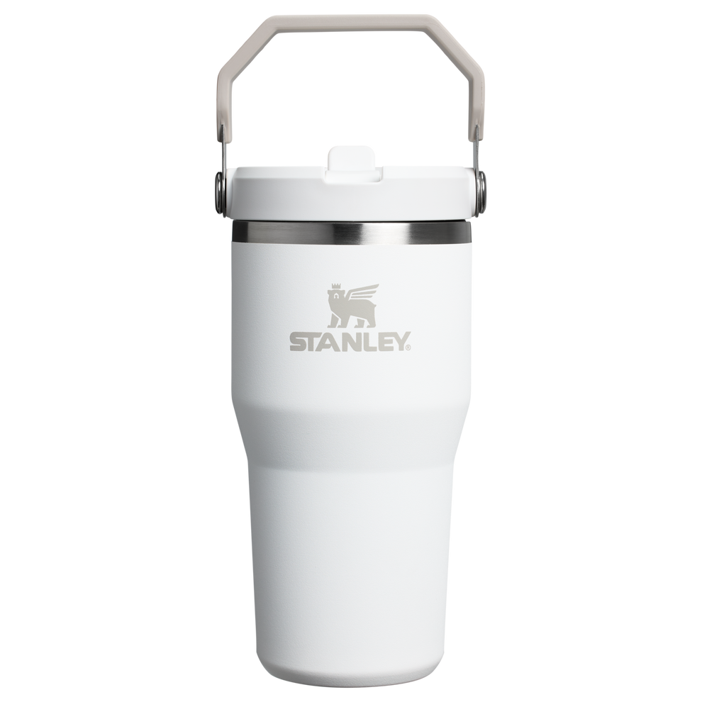 Stanley 20 OZ ProTour Flip Straw Tumbler Cup In Frost White
