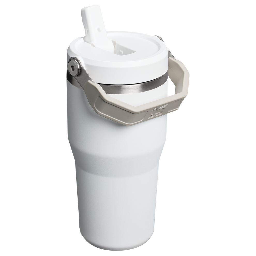 Stanley 20 OZ ProTour Flip Straw Tumbler Cup In Frost White