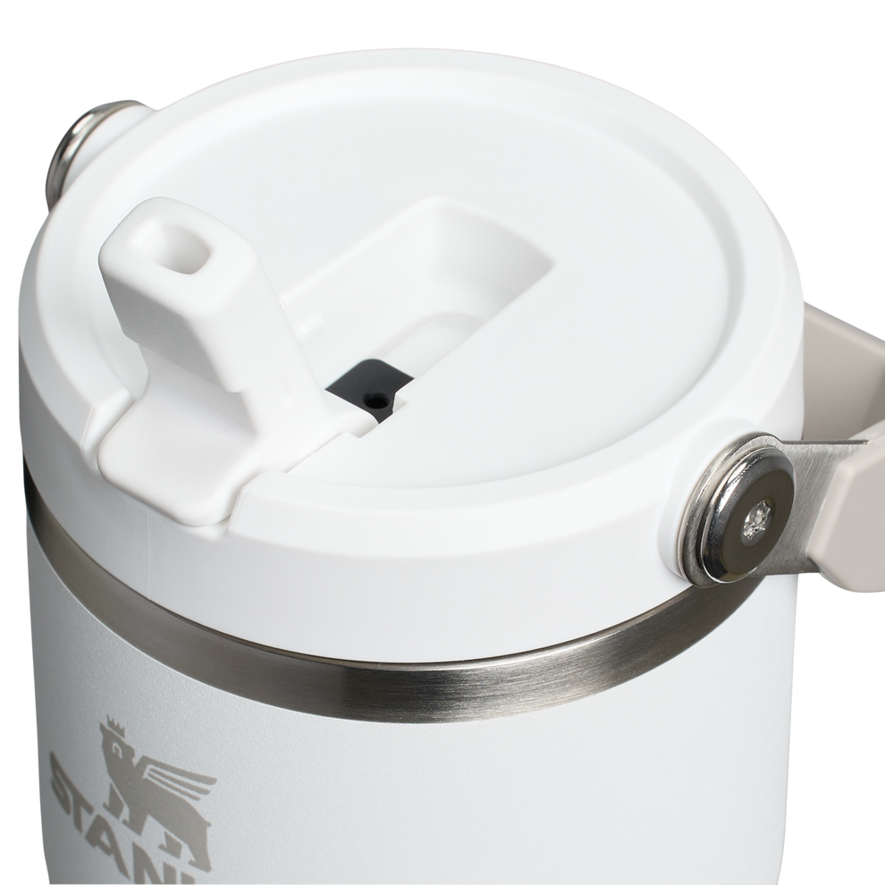 Stanley 20 OZ ProTour Flip Straw Tumbler Cup In Frost White