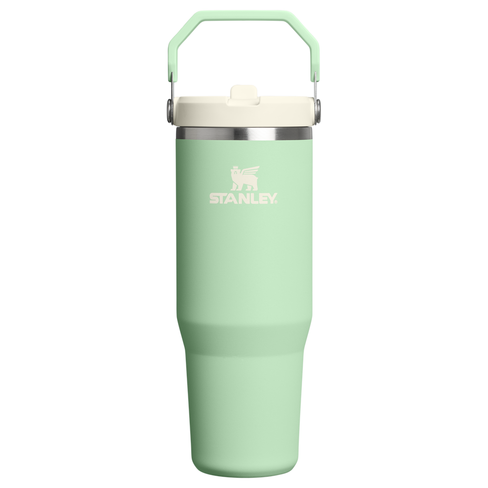 Stanley 30 OZ IceFlow Stainless Steel Water Bottle In Pistachio Green with Flip Straw