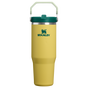 Swatch for Stanley 1913 The IceFlow™ Flip Straw Tumbler 30 OZ in Daffodil Emerald