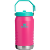 IceFlow Flip Straw Water Jug 64OZ In Passion Pink