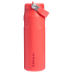 Stanley 24 OZ IceFlow Aerolight Water Bottle With Flip Straw In Hot Coral Red