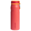 The IceFlow™ Bottle with Twist Flip Lid | 24 OZ