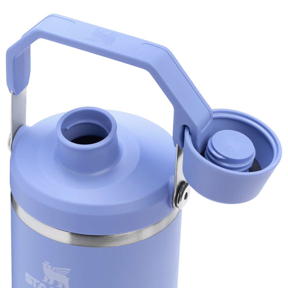 Stanley 40 oz IceFlow Fast Flow Tumbler In Hydrangea Purple