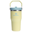 Stanley 20 OZ IceFlow Flip Straw Insulated Tumbler In Pomelo Yellow