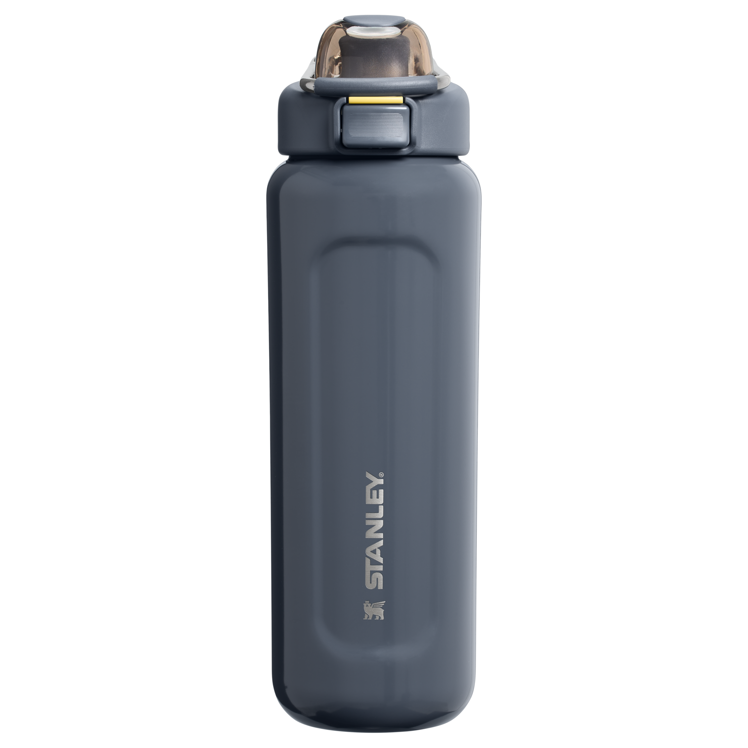 Stanley 24 OZ Well Spring Water Bottle in Twilight Gloss