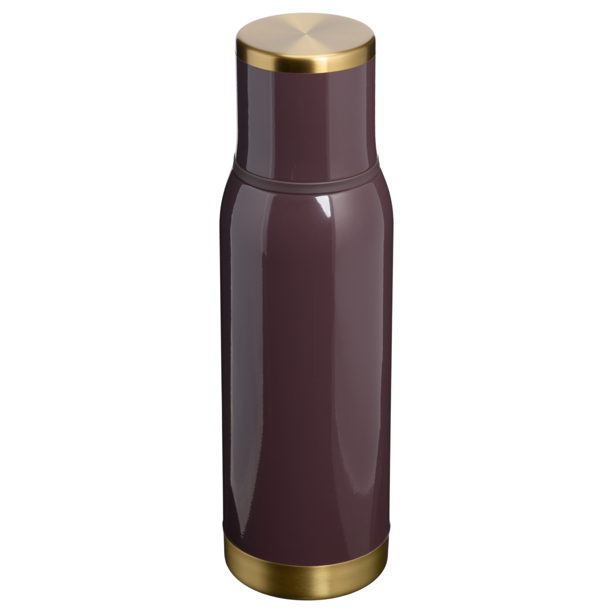 Stanley 1913 Adventure To-Go Bottle 25 OZ in Fig Gloss | Back View