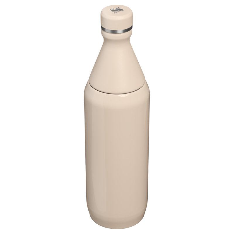 Stanley 1913 All Day Slim Bottle 20 OZ in Champagne Gloss | Back View