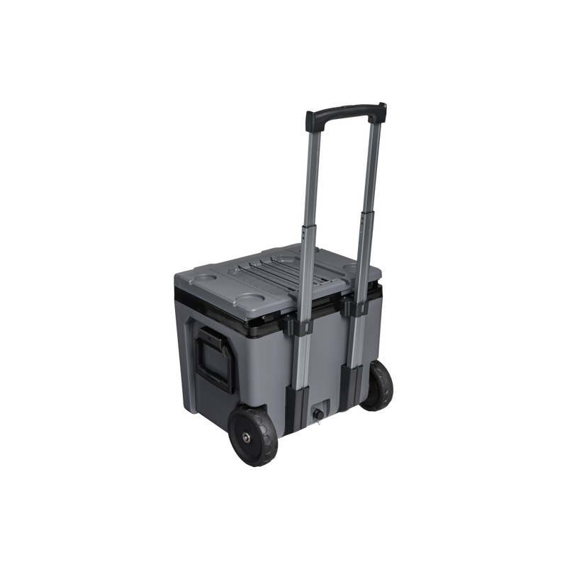 Stanley 1913 The Cold For Days Wheeled Outdoor Cooler 50 QT in Black | Back View